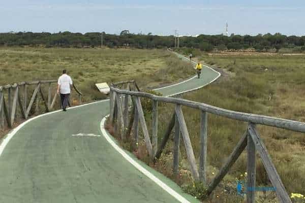 Paseo en bicicleta por las marismas