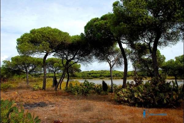 Reserva Natural de la Laguna de El Portil