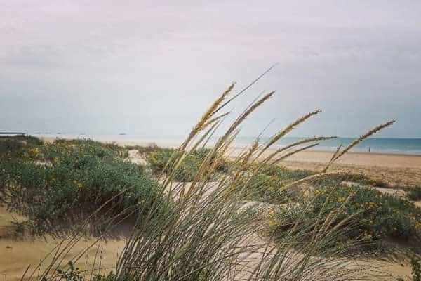 playa de punta umbría