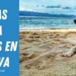 Las 6 Playas para Perros en Huelva
