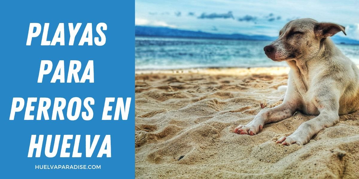 Playas para perros en Huelva