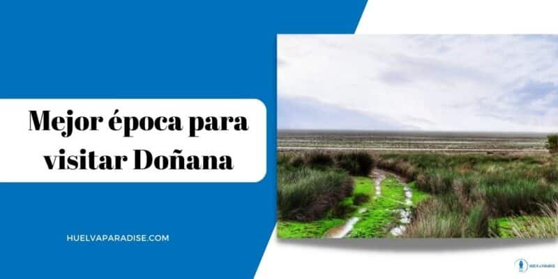 mejor época para visitar doñana