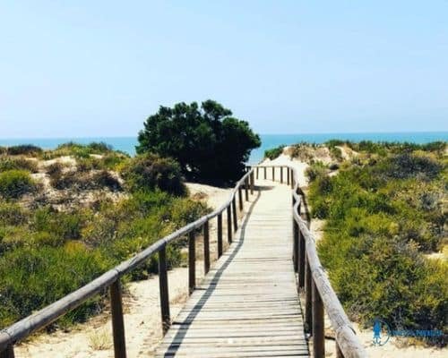 playa de los enebrales