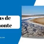 Playas de Ayamonte : La Guía Completa