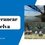 ¿Dónde veranear en Huelva? Descubre las mejores opciones
