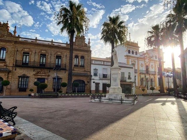 La palma del condado en tamaño mediano