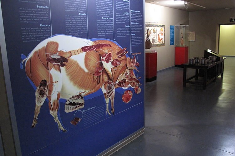 museo del jamon aracena 3