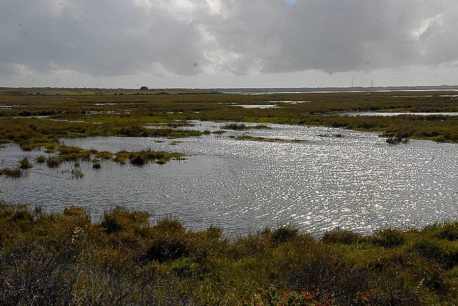 Isla del Burro y la Isla del Medio 2