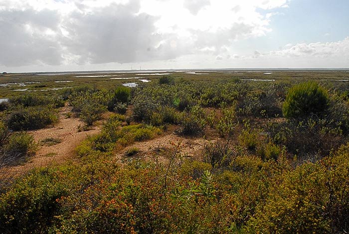 Isla del Burro y la Isla del Medio