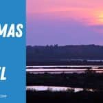 Paraje Natural Marismas del Odiel: Una Joya de la Biodiversidad