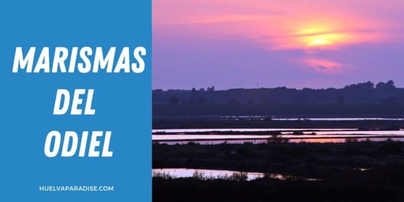 Marismas del Odiel en Huelva