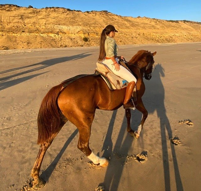 Paseo a caballo en matalascanas