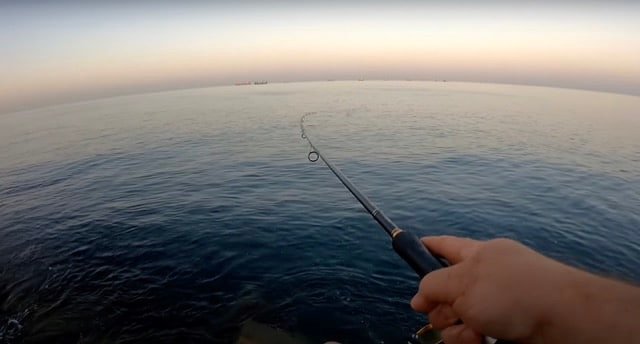 Pescando en el espigon de Huelva en tamaño mediano