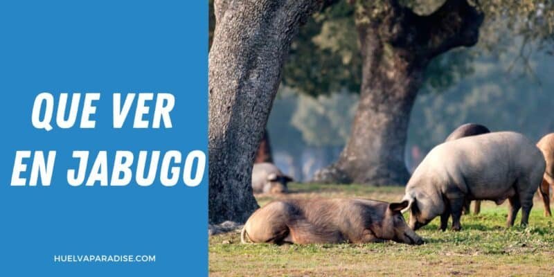 Que ver en Jabugo