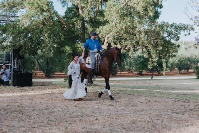 espectaculo a caballo empresa arte andaluz en tamaño mediano