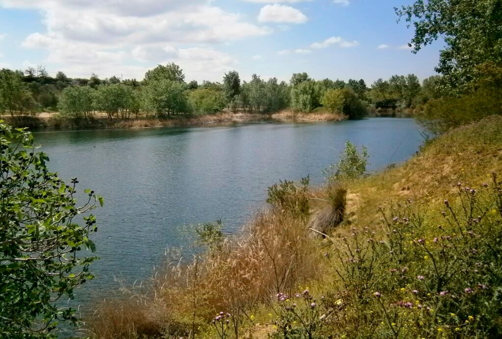 Laguna de las Madres
