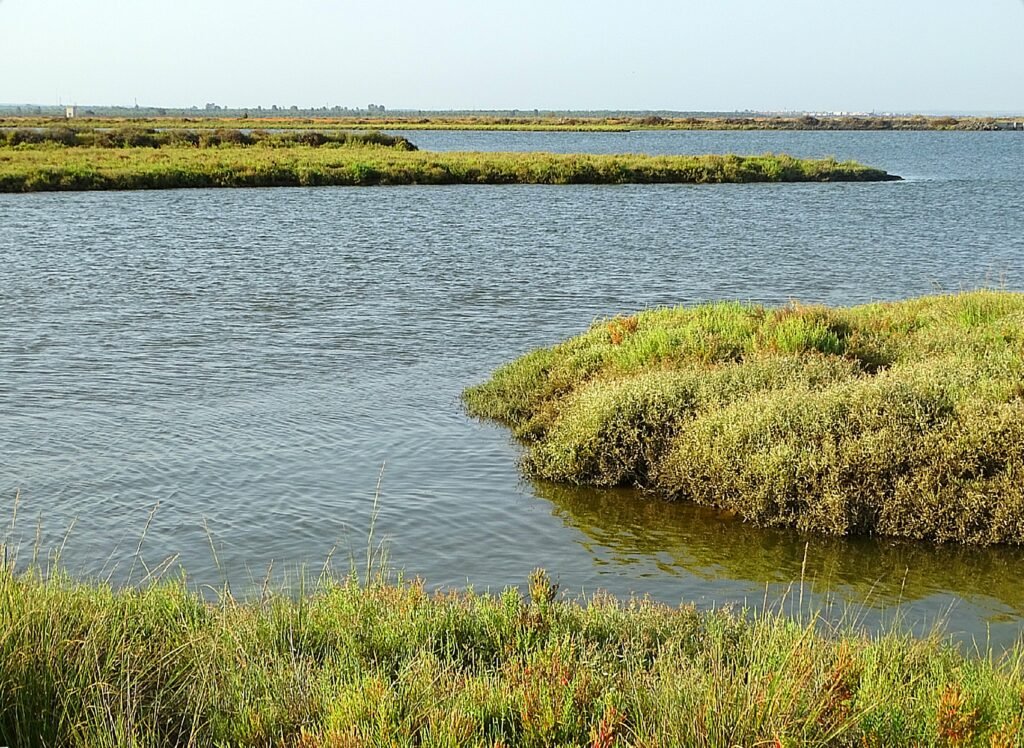 salinas del astur